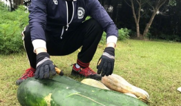 吴希诺吃瓜爆料图片,吃瓜现场大揭秘！